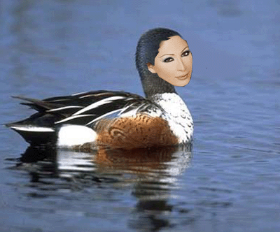 elissa